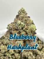 SHATNER’S LEGENDS SERIES: Blueberry Hashplant, OG 18 - Image 2