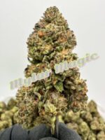 NEW PREMIER LIGHT DEPS: Mylar Magic, Shine Box, Grapple Pie, Dip N Stix - Image 3