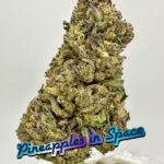 LIGHT DEPS: Pineapples In SpacePine