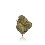 Xotic Flavorz Flower 3.5g - Image 2