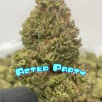 NEW BOUTQUES: After Party