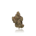 BLEM Exotic Flower - Image 2