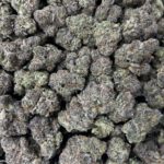 [EXOTIC] Blue Cookies