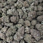 [EXOTIC] Bubba Kush
