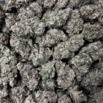 [EXOTIC] Gorilla Glue #4