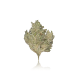 Heirbloom Legacy Premium Flower - Image 2