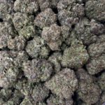 [EXOTIC] Lemon Cherry Gelato