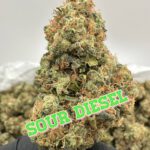 LEGENDS JUNIOR VARSITY SQUAD: Sour Diesel, Blue Dream
