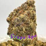 ORGANIC OUTDOORS: Alien Dawg, Sweet Tooth, Lemon Snow, Grape Ape