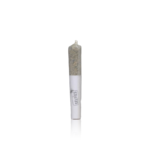 Selfies Mini Prerolls 12PK - Image 2