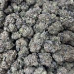 [EXOTIC] Frosted White Truffle