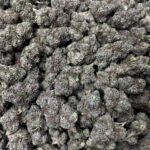 [EXOTIC] Candied Lemonz