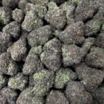 [EXOTIC] Sour Gushers