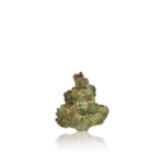 Xotic Flavorz Lil Xotics Half Zip - Image 2
